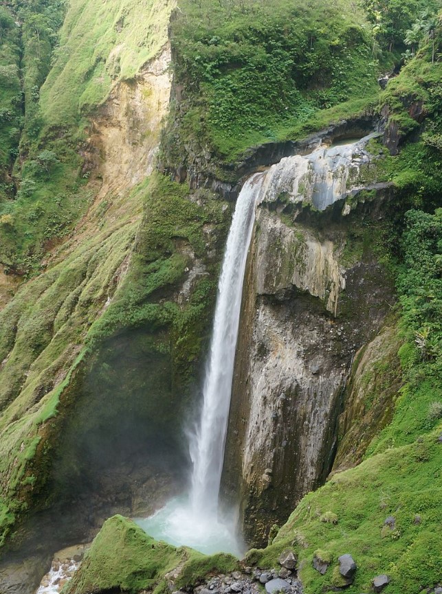 torean2